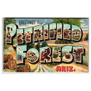 Greetings from Petrified Forest Arizona Big Letter Postcard Curteich